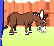 Donkey donkey I beg you