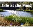 i_life at the pond