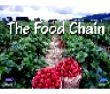 f_the food chain
