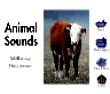 b_animal sounds