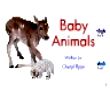 a_baby animals