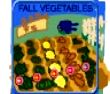 Fall Vegetables