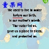 水的循环（中文）