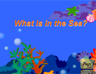 告诉你海洋中生活着哪些生物