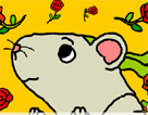 Rat race(r)